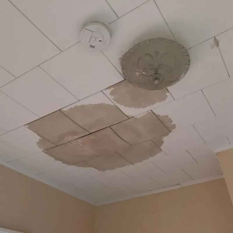 Ceiling Water Damage Repair in Pleasant Run Farm, OH